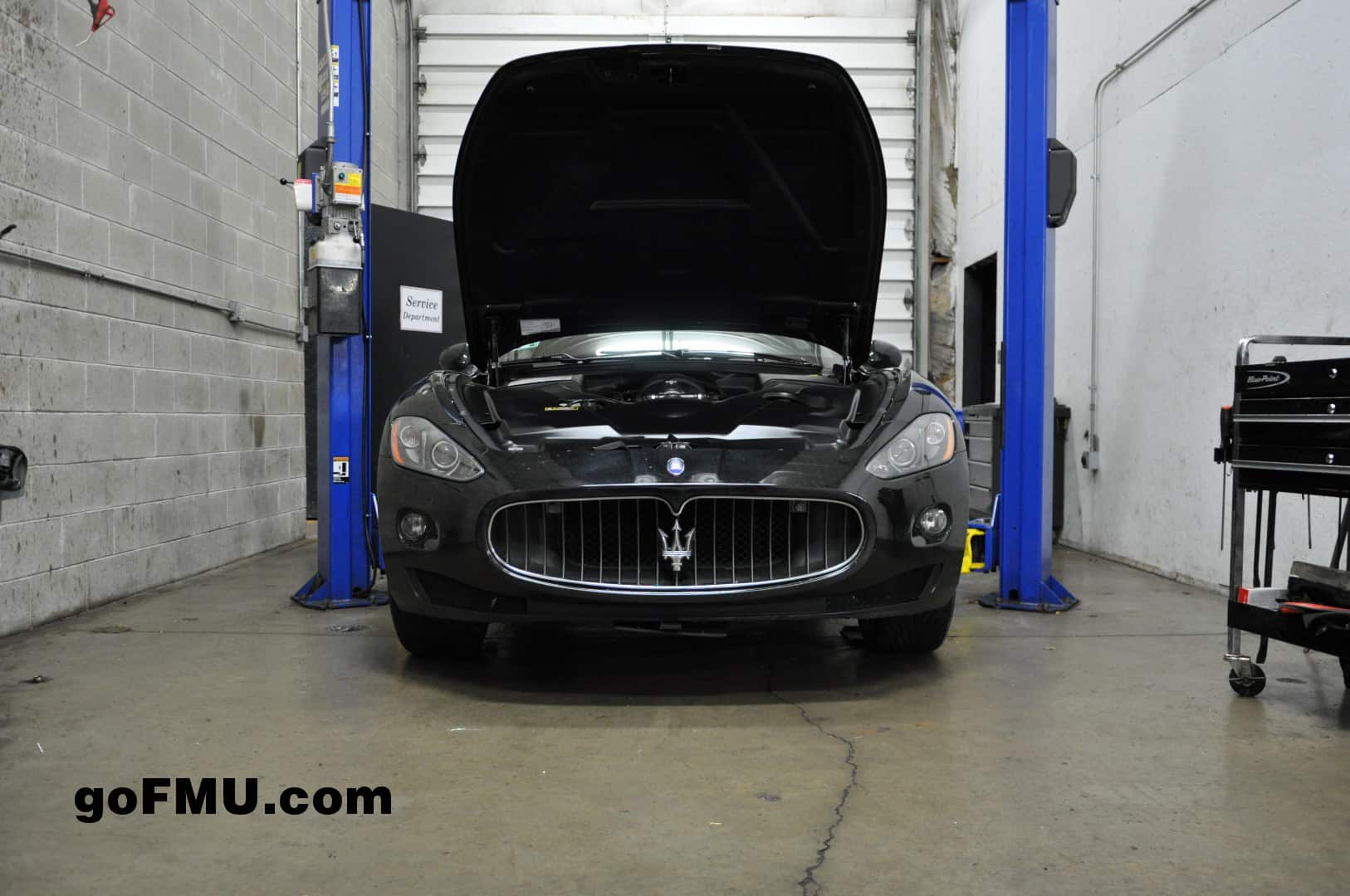 What's involved in a Maserati GranTurismo Oil Change? FMU shows you!